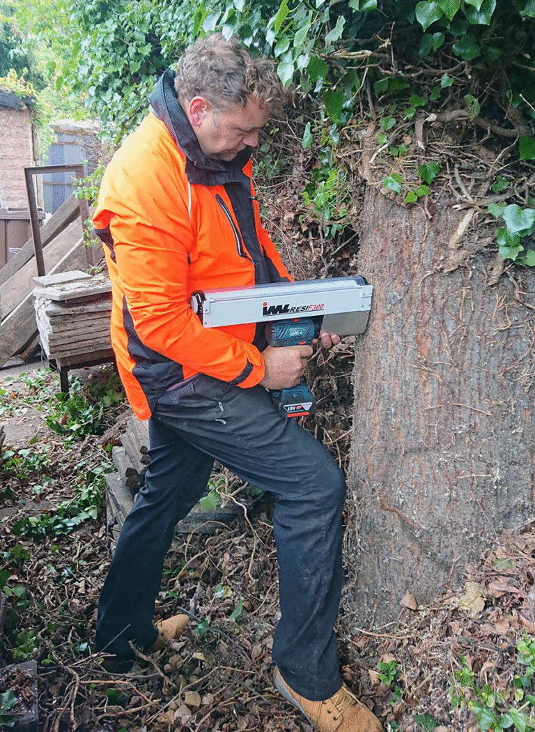 Craig on site, assessing a tree